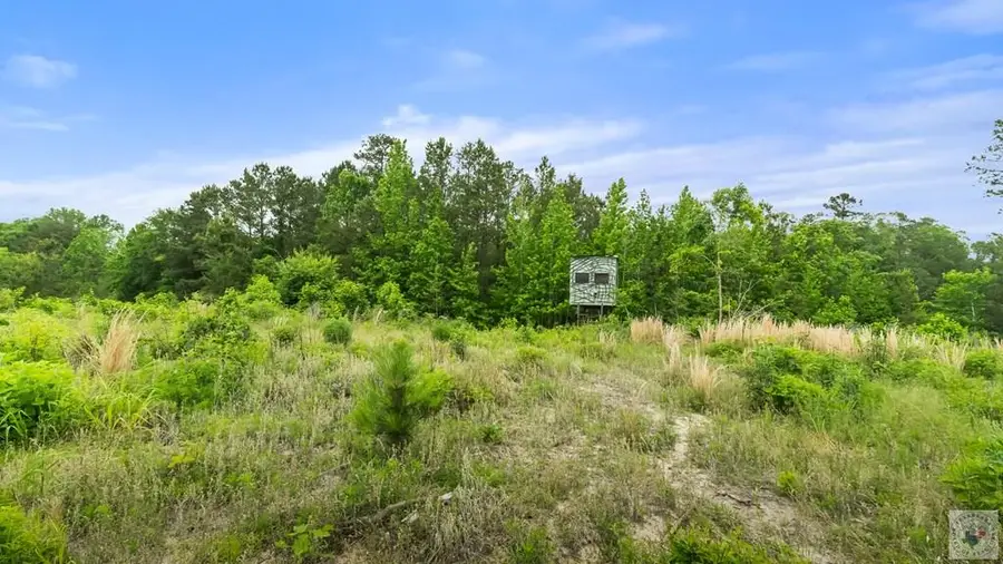 TBD County Road 4110, Atlanta, TX 75551 - #3