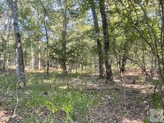 TBD Cr 16150, Deport, TX 75435 - #1
