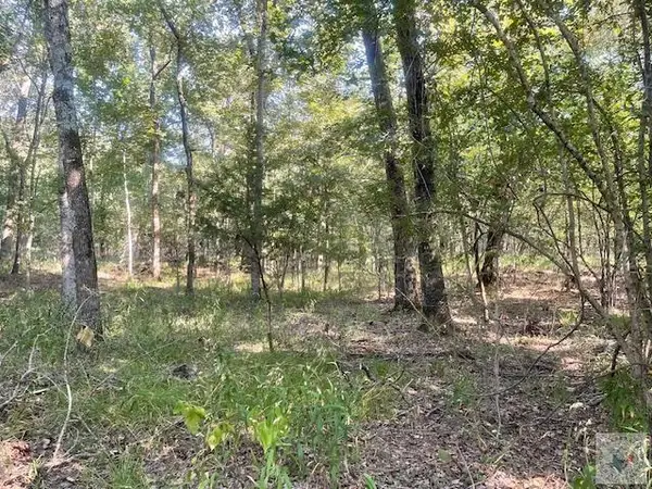 TBD Cr 16150, Deport, TX 75435