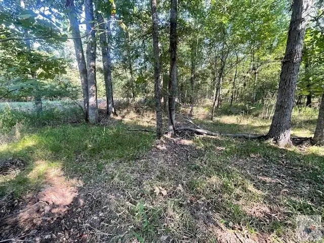 TBD Cr 16150, Deport, TX 75435 - #2