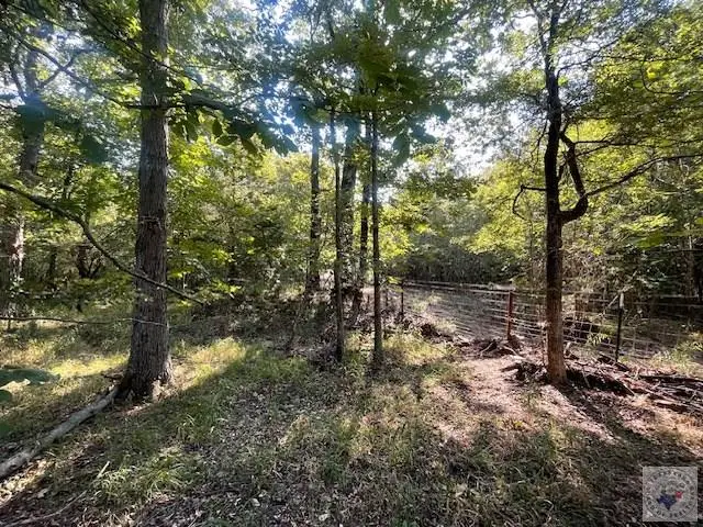TBD Cr 16150, Deport, TX 75435 - #3