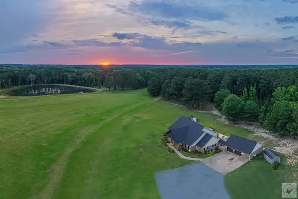 481 County Road 4230, Atlanta, TX 75551