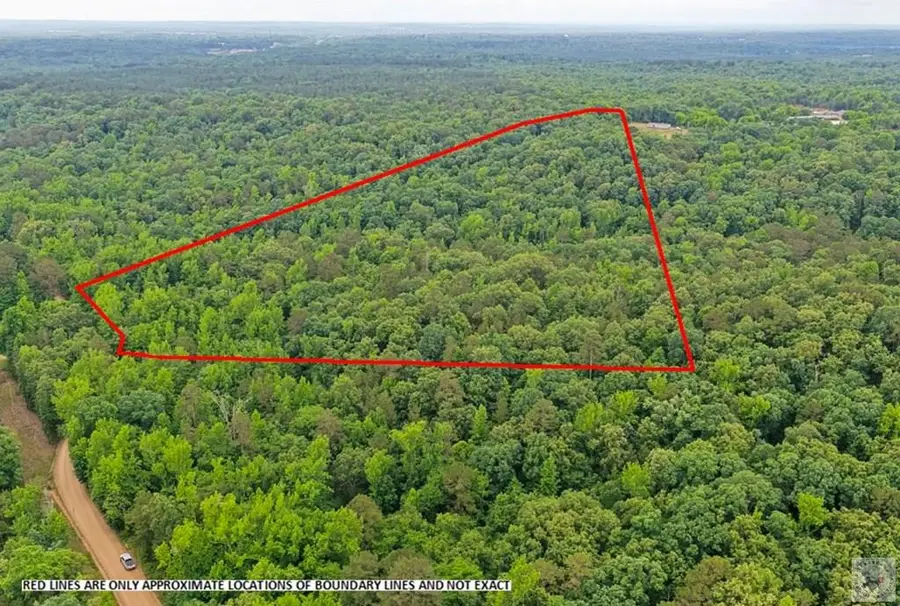 396 Avon Road, Bear Creek, AR 71832 - #2