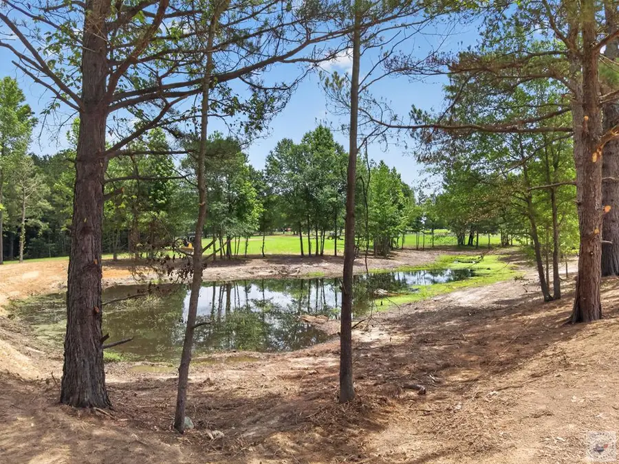 48.10 acres Cr 4005, New Boston, TX 75570 - #2