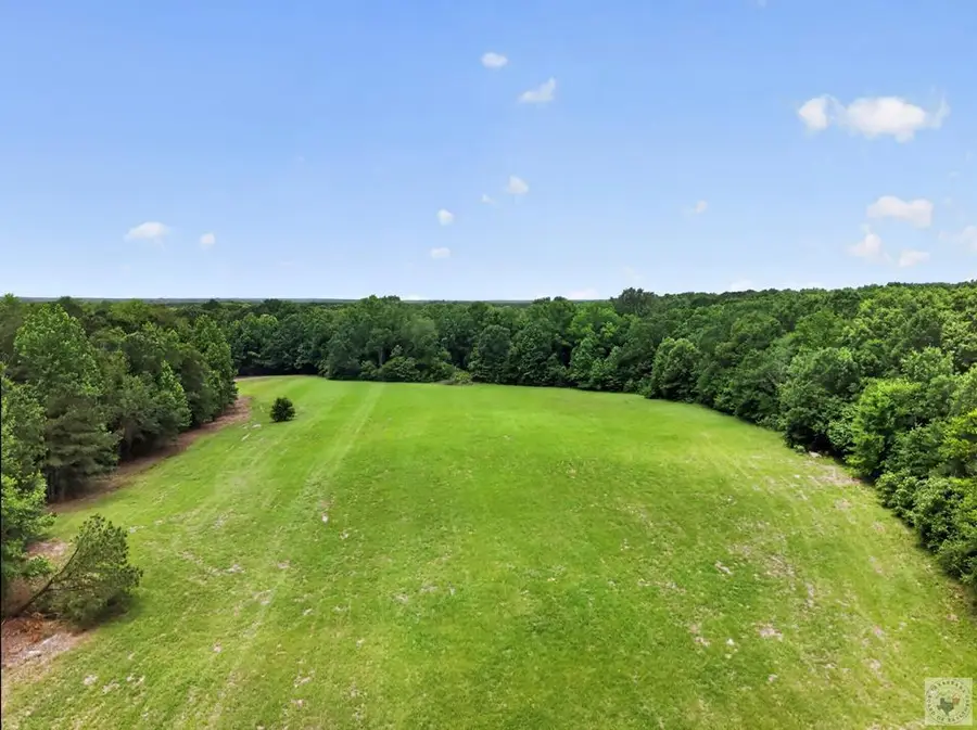 48.10 acres Cr 4005, New Boston, TX 75570 - #3