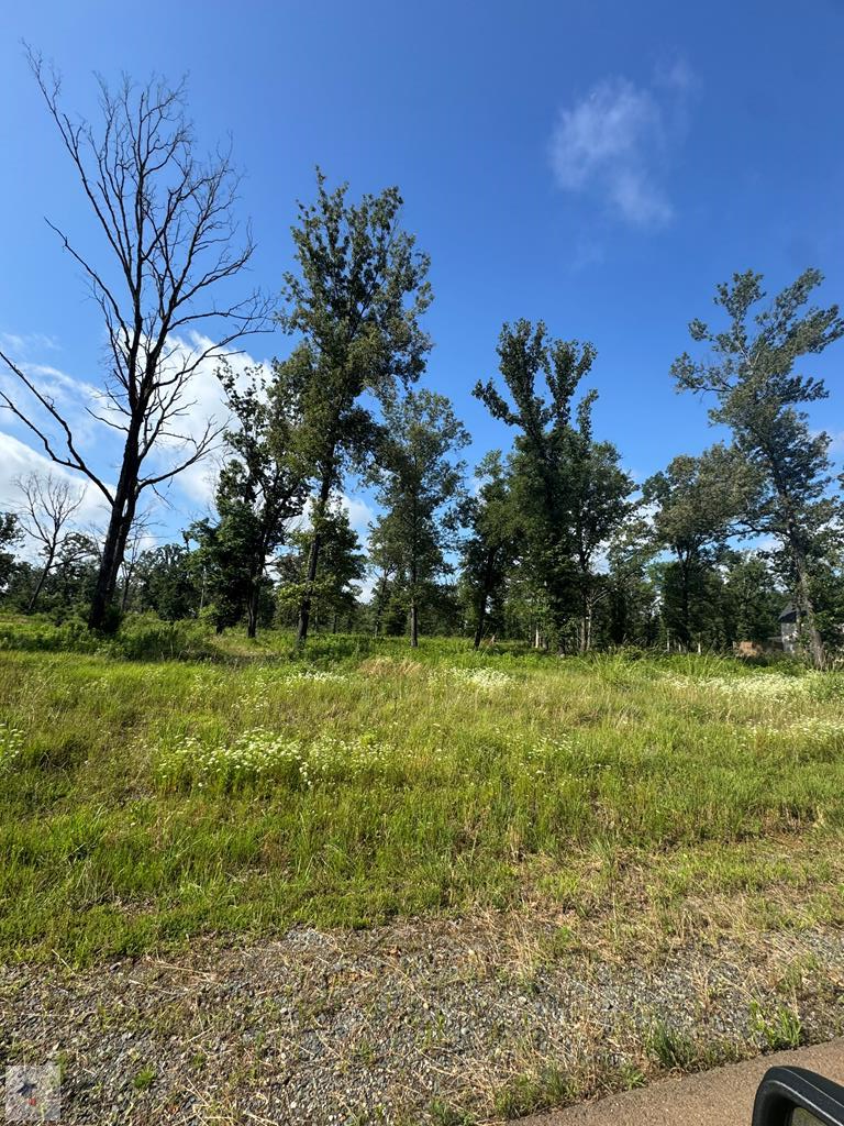25 Akin Oak, Texarkana, TX 75503 - #1
