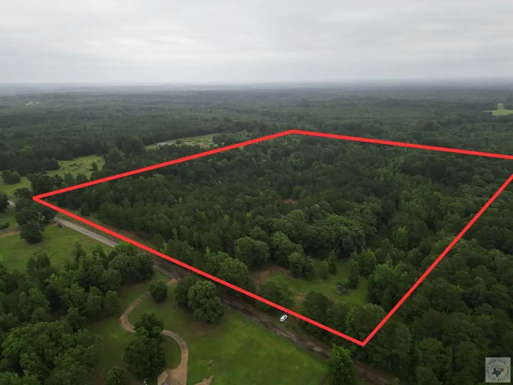1713 Cr 4223, Atlanta, TX 75551 - #1