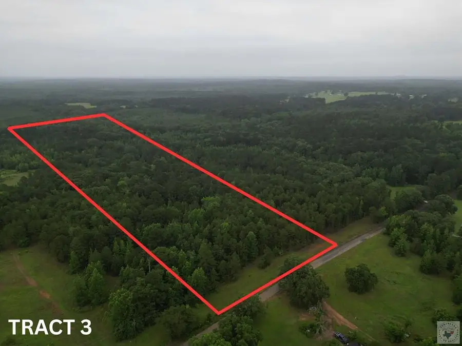 TBD Cr 4223, Atlanta, TX 75551 - #2