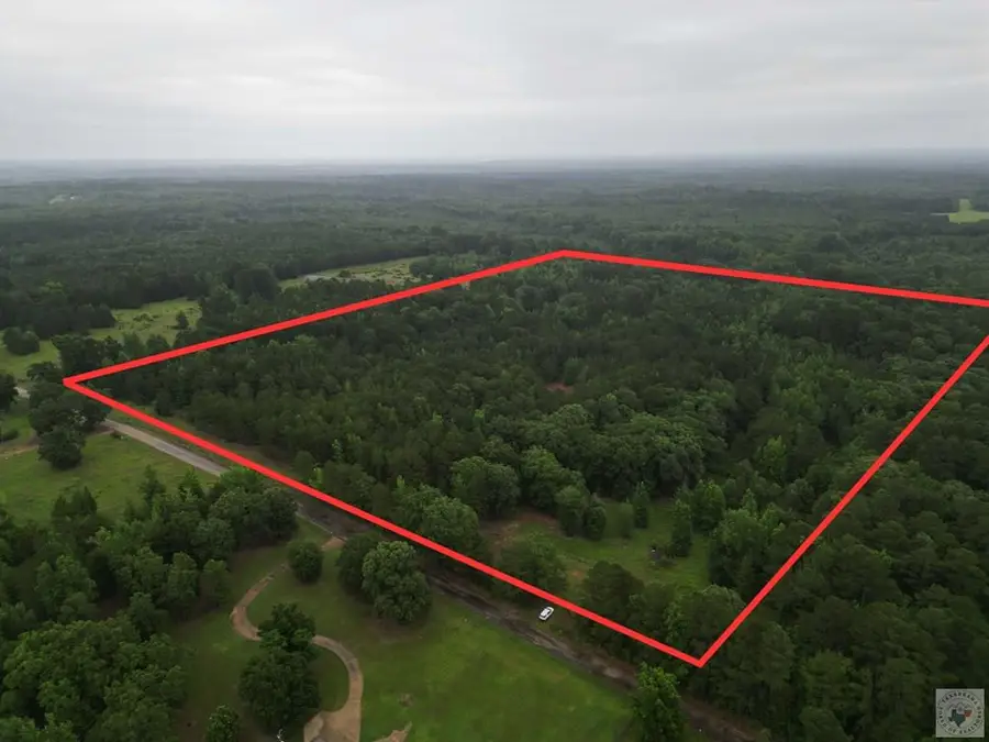 TBD Cr 4223, Atlanta, TX 75551 - #3
