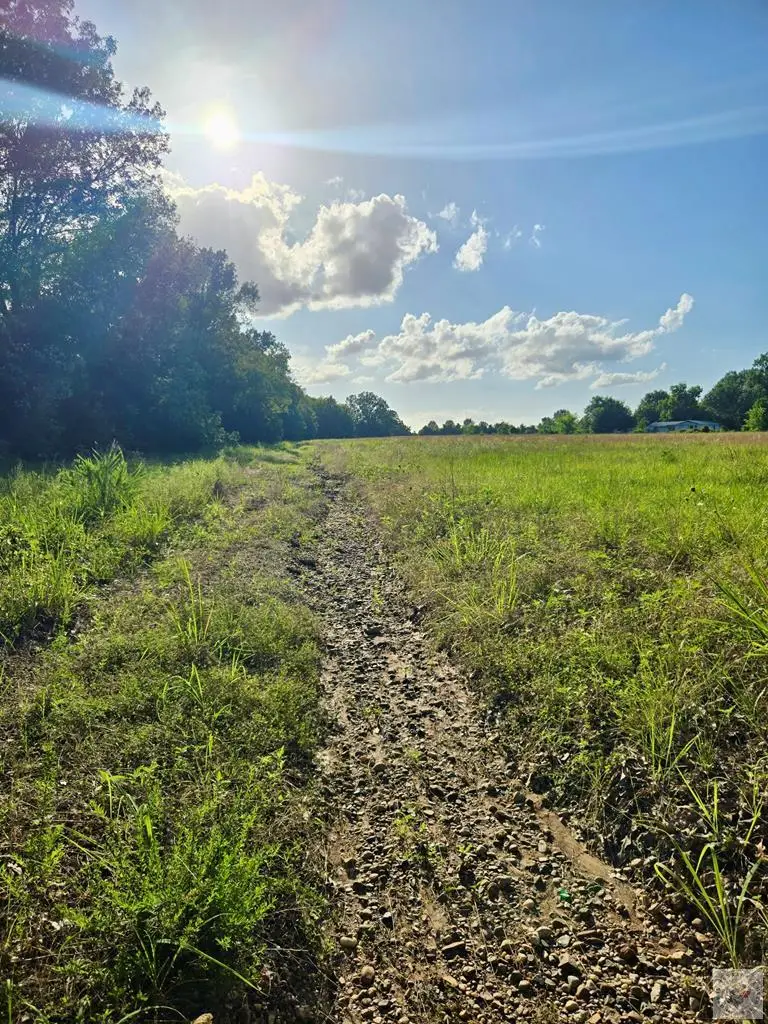 41 County Road 3212, Clarksville, TX 75426 - #1