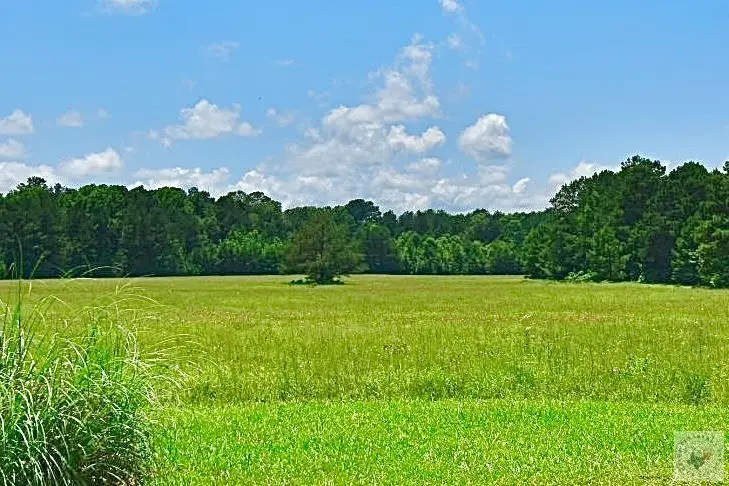TBD E Broad, Texarkana, AR 71854 - #1