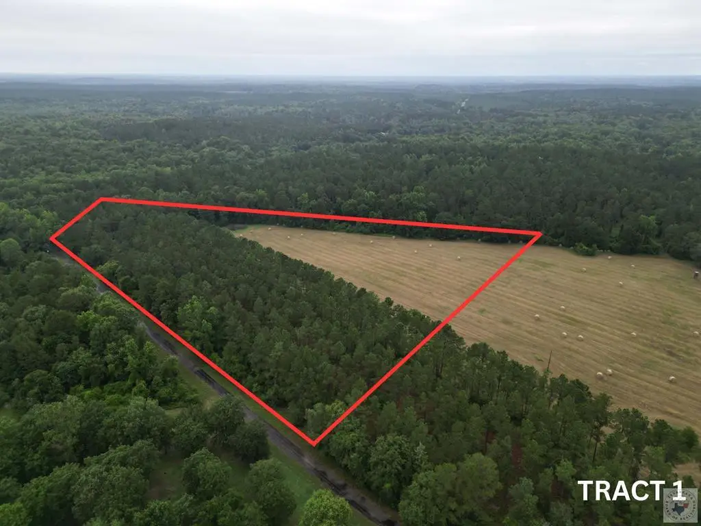 TBD Cr 4565, Bivins, TX 75555 - #1