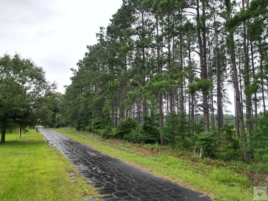 TBD Cr 4565, Bivins, TX 75555 - #2