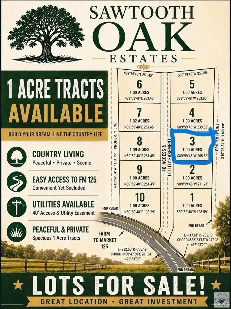 20289- 3 Fm 125, McLeod, TX 75565 - #1
