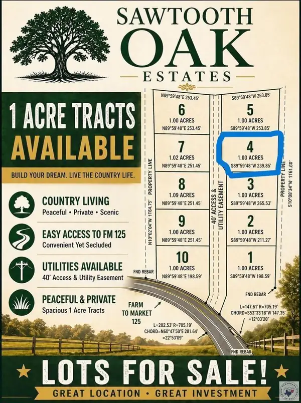 20289 -4 Fm 125, McLeod, TX 75565