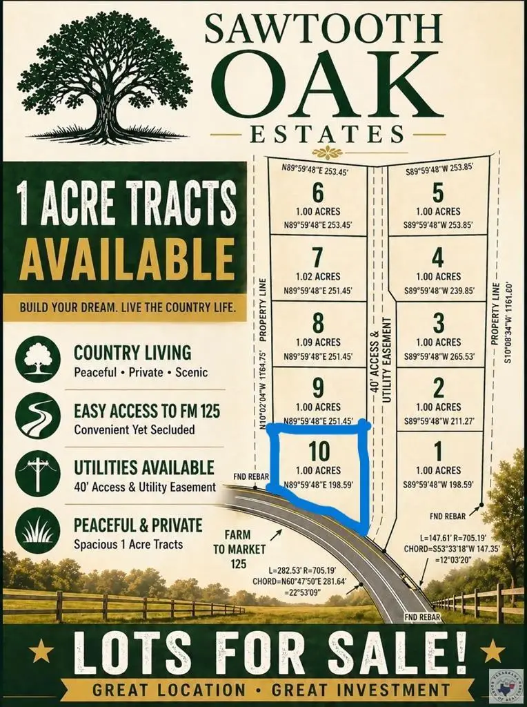 20289 - 10 Fm 125, McLeod, TX 75565 - #1