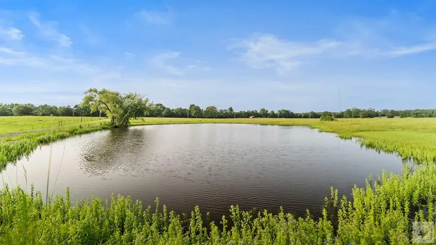 3544 Fm 74, Bloomburg, TX 75556 - #2