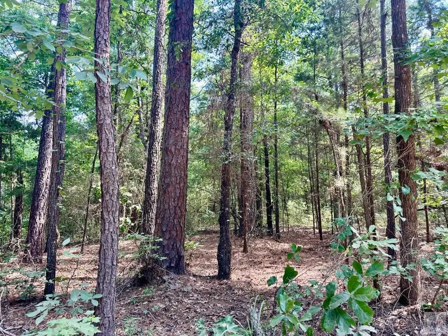TBD Cr 4224, Atlanta, TX 75551 - #3