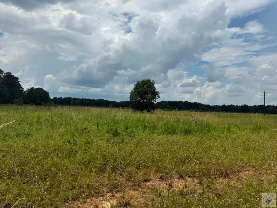 1816 Cr 2105, Hooks, TX 75561 - #2