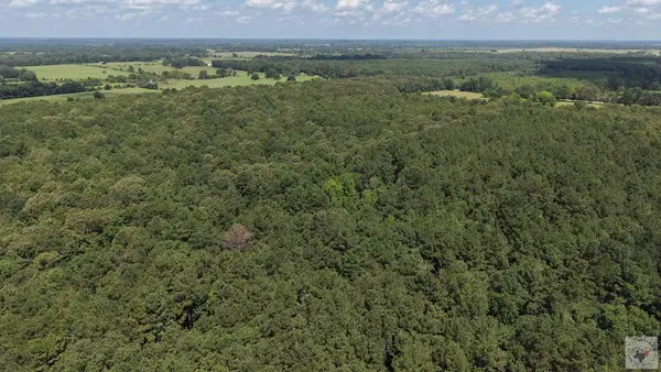 Tract 2 Cr 4320, DeKalb, TX 75559