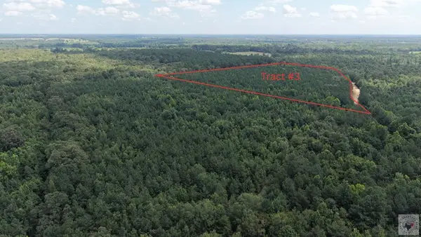 Tract 3 Cr 4320, DeKalb, TX 75559