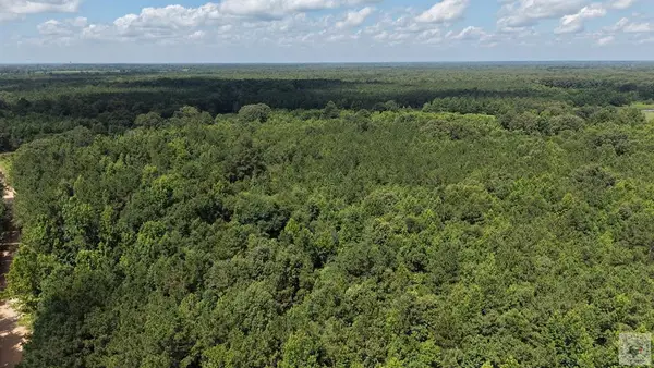 Tract 4 Cr 4320, DeKalb, TX 75559