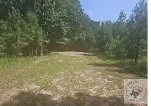 22059 State Highway 154, Harleton, TX 75651