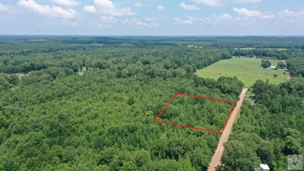0001 County Road 3885, Queen City, TX 75572 - #1