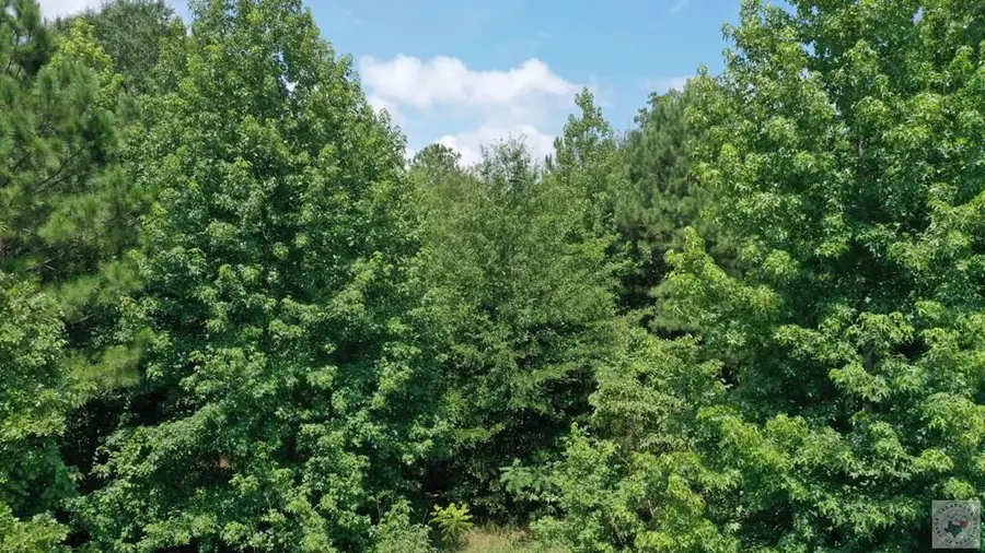 0001 County Road 3885, Queen City, TX 75572 - #3