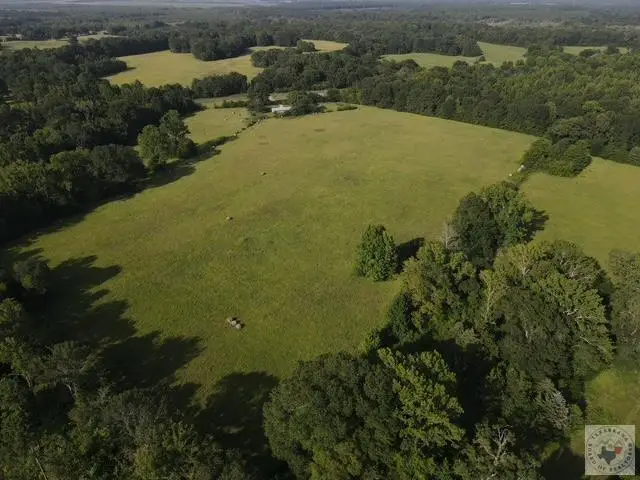 4221 W Fm 114, Avery, TX 75554 - #2