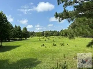 9131 Hwy 67, Simms, TX 75574