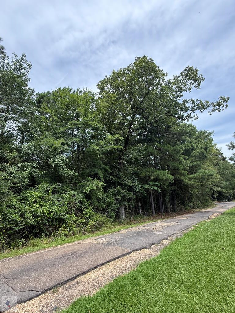 4529 Parker Ln (20 Acres), Texarkana, AR 71854 - #1