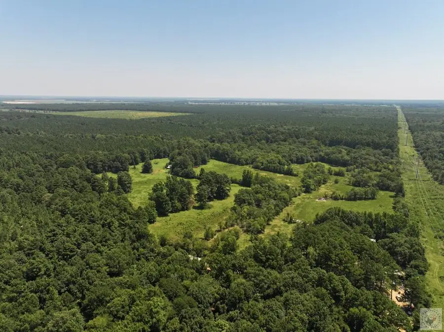 6394 County Road 3204, De Kalb, TX 75559 - #2