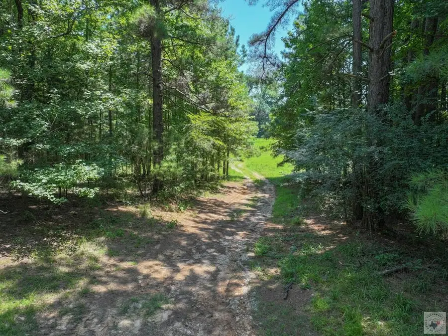 6394 County Road 3204, De Kalb, TX 75559 - #3