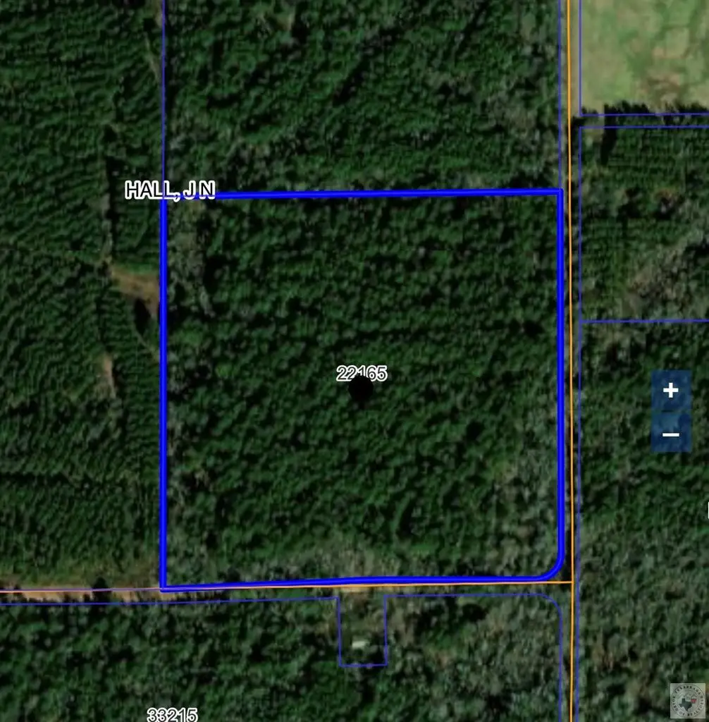 TBD Cr 4208, Simms, TX 75574 - #1