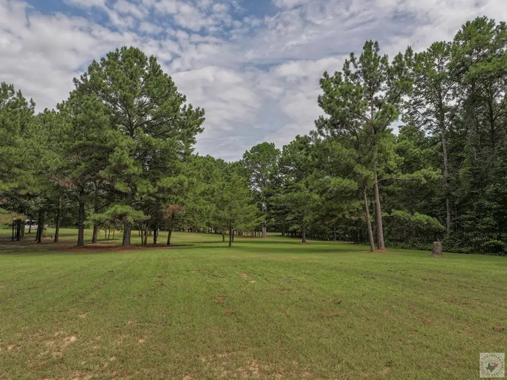 127 County Road 1001 S, New Boston, TX 75559 - #1