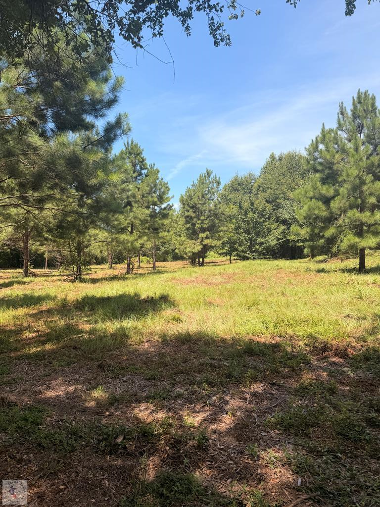 TBD County Road 3449, Atlanta, TX 75551 - #1