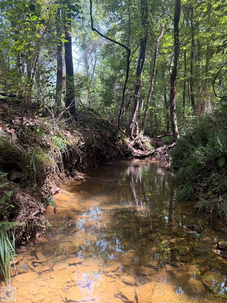 TBD County Road 3449, Atlanta, TX 75551 - #3