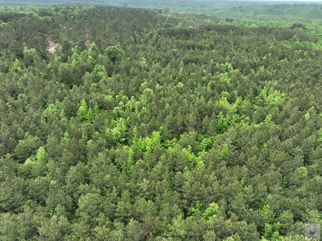 TBD Cr 2227, Douglassville, TX 75560 - #1