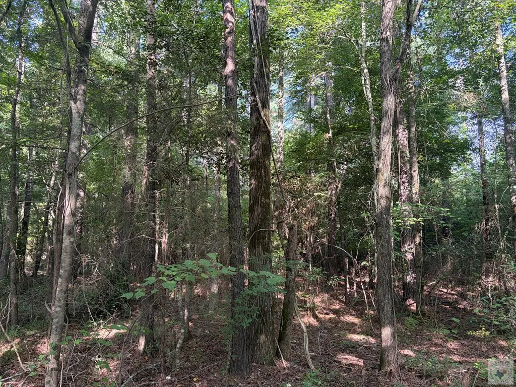 Address Withheld By Seller, Bivins, TX 75555 - #1