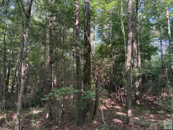 Address Withheld By Seller, Bivins, TX 75555