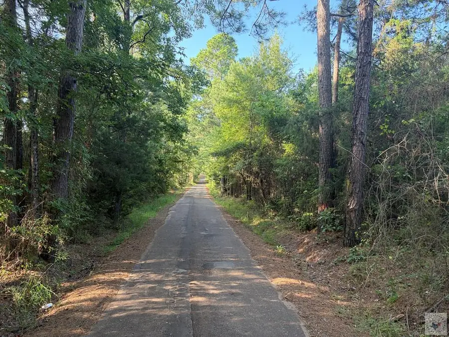 Address Withheld By Seller, Bivins, TX 75555 - #2