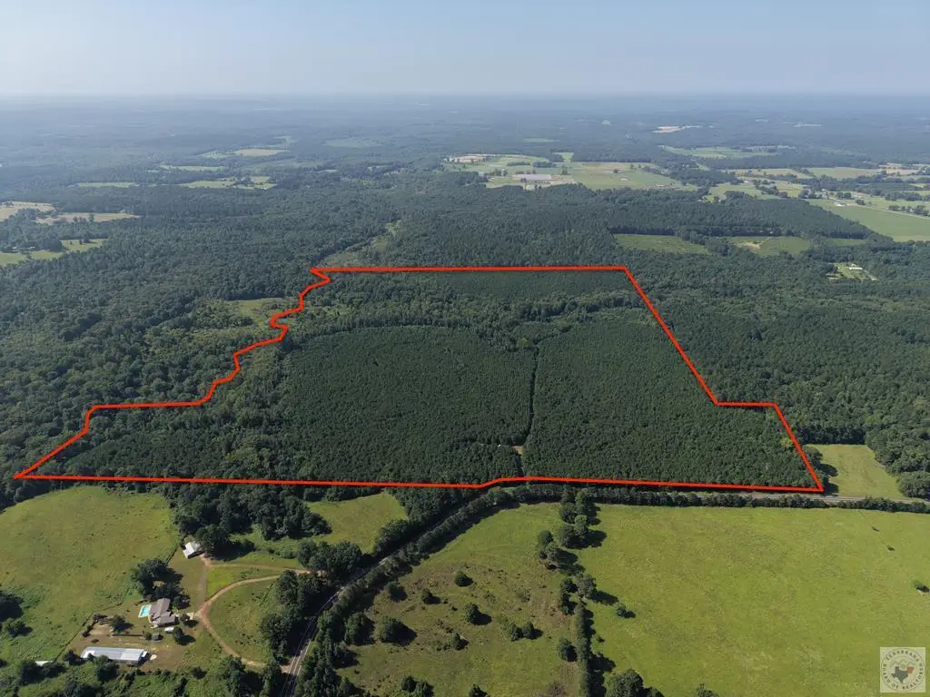 11254 Fm 250, Naples, TX 75568 - #1
