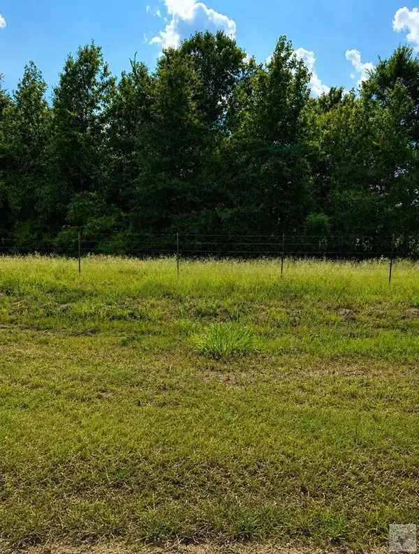 Tract 2 TBD Fm 990, Simms, TX 75574