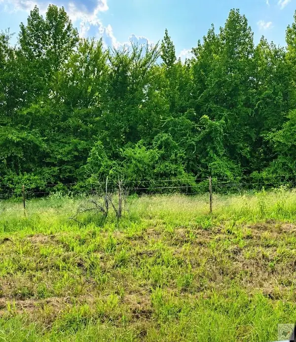Tract 3 TBD Fm 990, Simms, TX 75574