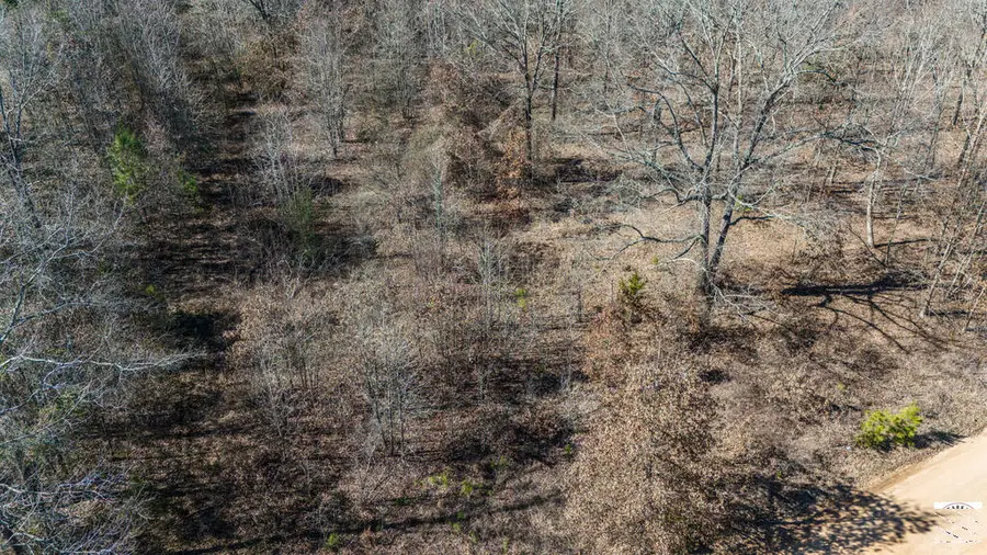 TBD Green Forest Ln, Texarkana, TX 75501 - #3
