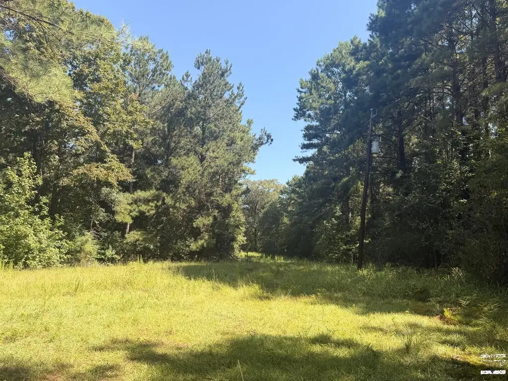 336 Cr 3992, Bloomburg, TX 75556 - #1