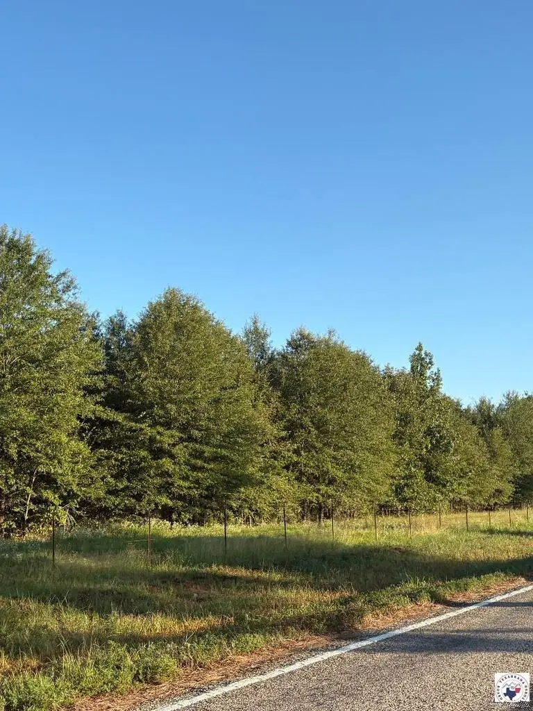 TBD Tract 6 Hwy 990, Simms, TX 75574 - #1