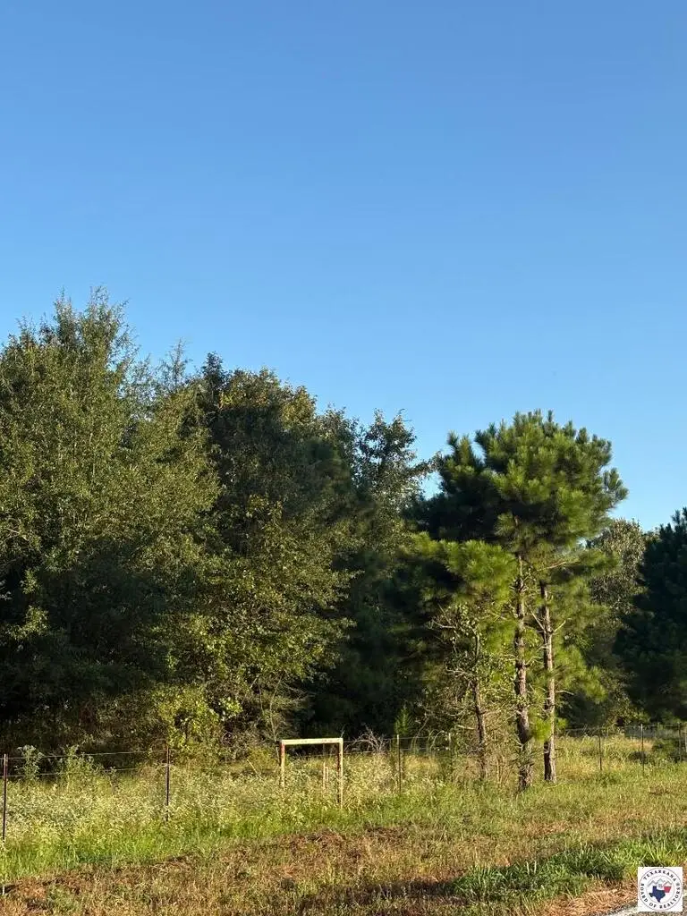 TBD Tract 8 Hwy 990, Simms, TX 75574 - #1