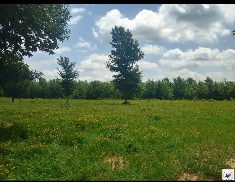 TBD Tract 8 Hwy 990, Simms, TX 75574 - #2